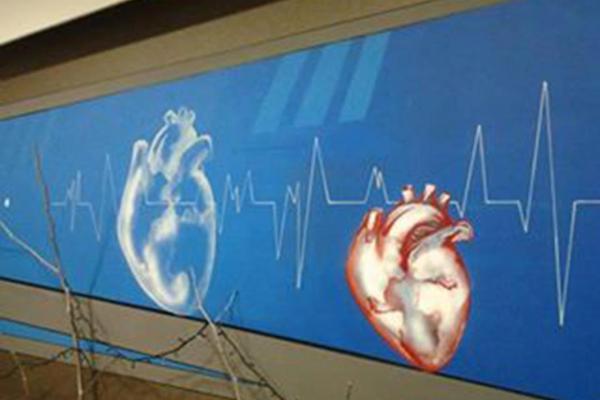 heart